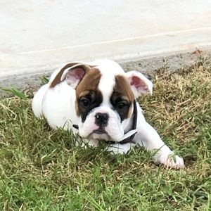 Meet your Posher, Jamille